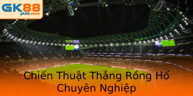 Chiến Thuật Thắng Rồng Hổ Chuyên Nghiệp Chiến Thuật Thắng Rồng Hổ Chuyên Nghiệp
