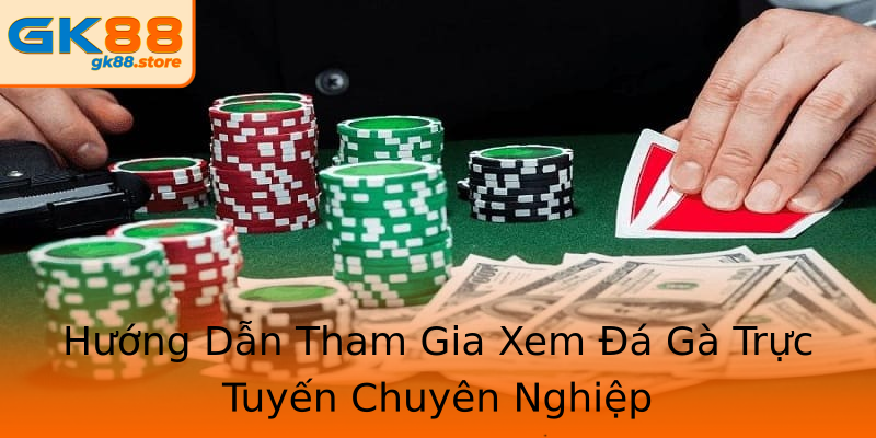 Hướng Dẫn Tham Gia Xem Đá Gà Trực Tuyến Chuyên Nghiệp Hướng Dẫn Tham Gia Xem Đá Gà Trực Tuyến Chuyên Nghiệp