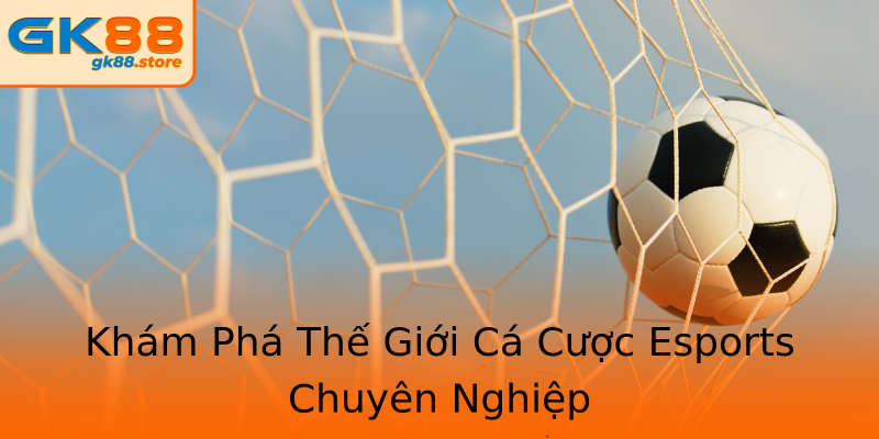 Khám Phá Thế Giới Cá Cược Esports Chuyên Nghiệp Khám Phá Thế Giới Cá Cược Esports Chuyên Nghiệp