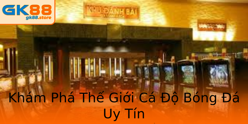 Khám Phá Thế Giới Cá Độ Bóng Đá Uy Tín Khám Phá Thế Giới Cá Độ Bóng Đá Uy Tín