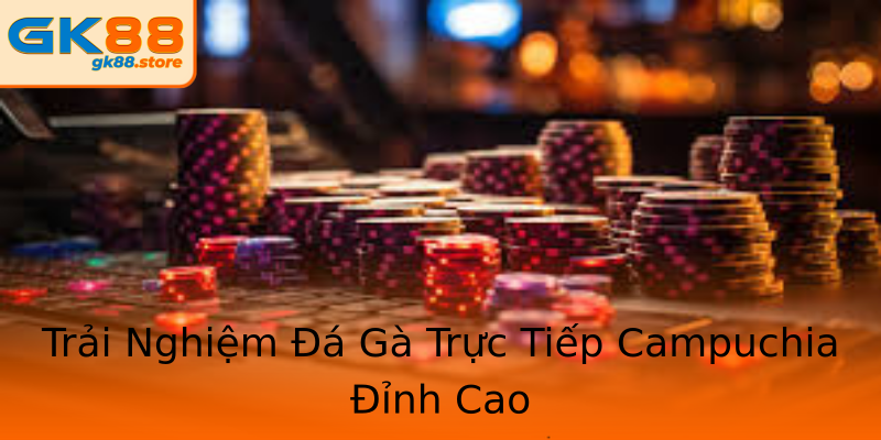 Trải Nghiệm Đá Gà Trực Tiếp Campuchia Đỉnh Cao Trải Nghiệm Đá Gà Trực Tiếp Campuchia Đỉnh Cao